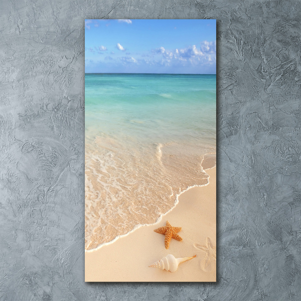 Acrylic wall art Starfish