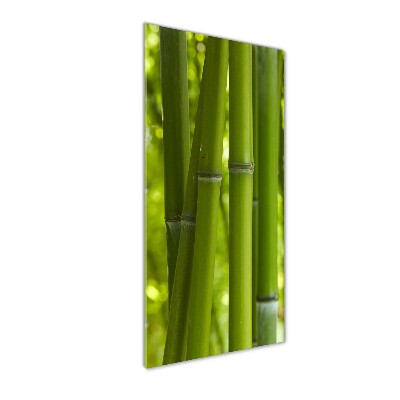 Print on acrylic Bamboo forest