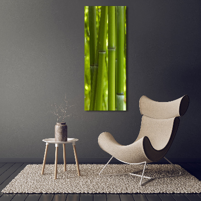 Print on acrylic Bamboo forest