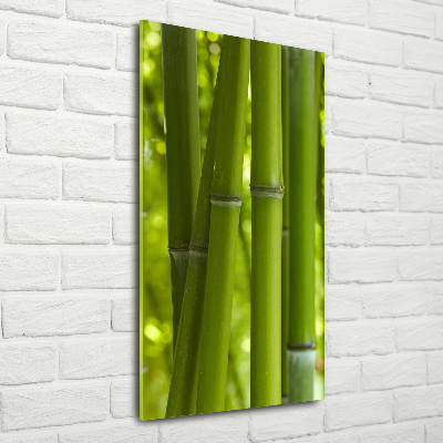 Print on acrylic Bamboo forest