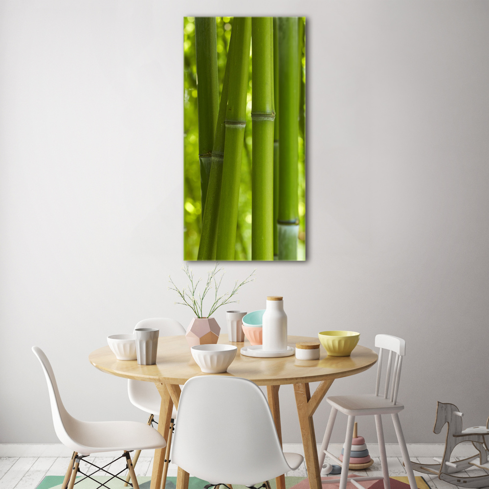 Print on acrylic Bamboo forest