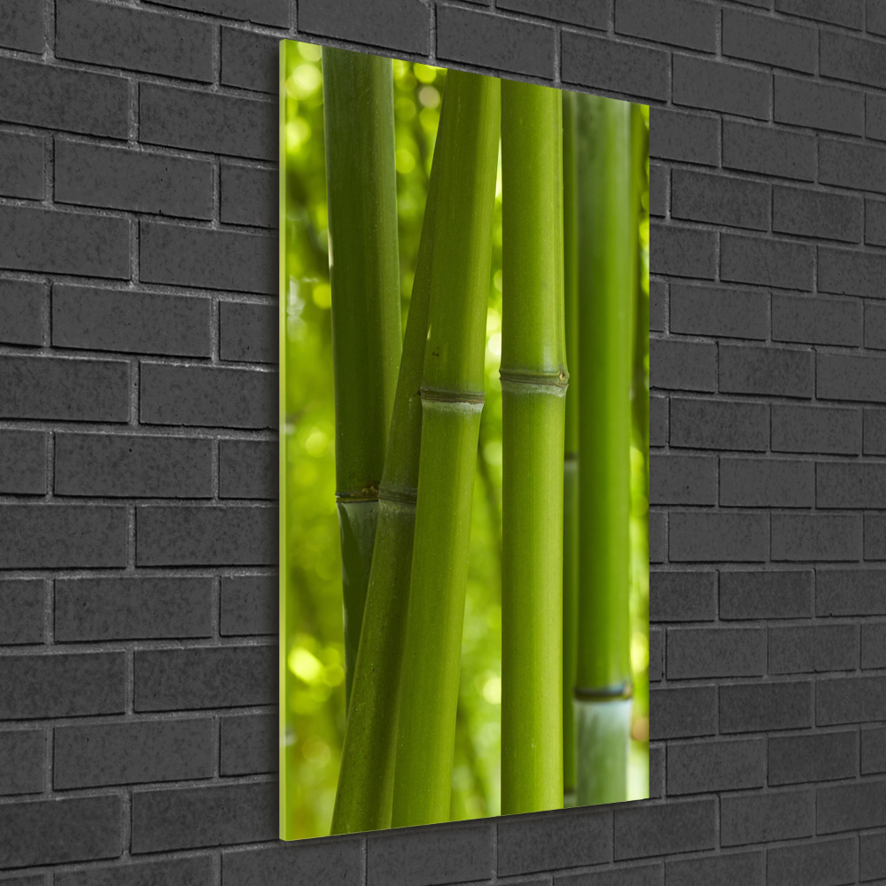 Print on acrylic Bamboo forest