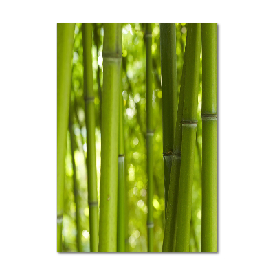 Print on acrylic Bamboo forest