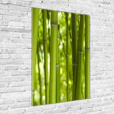 Print on acrylic Bamboo forest