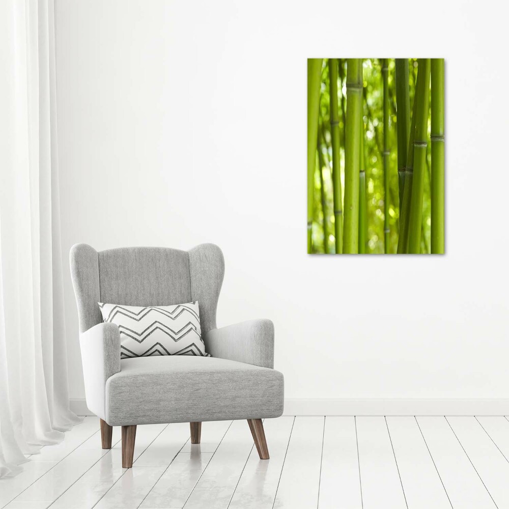 Print on acrylic Bamboo forest