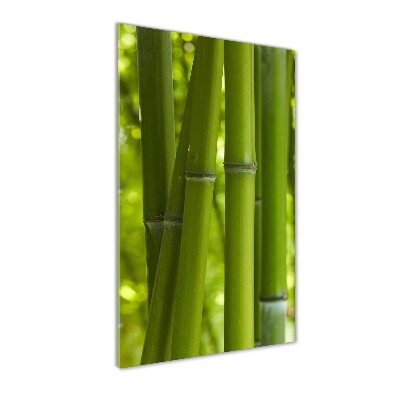 Print on acrylic Bamboo forest