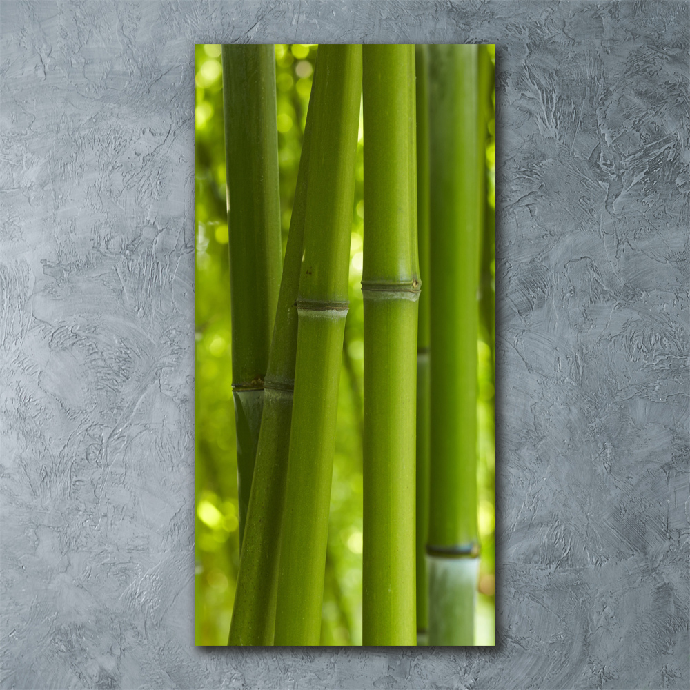 Print on acrylic Bamboo forest