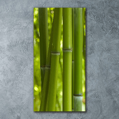 Print on acrylic Bamboo forest