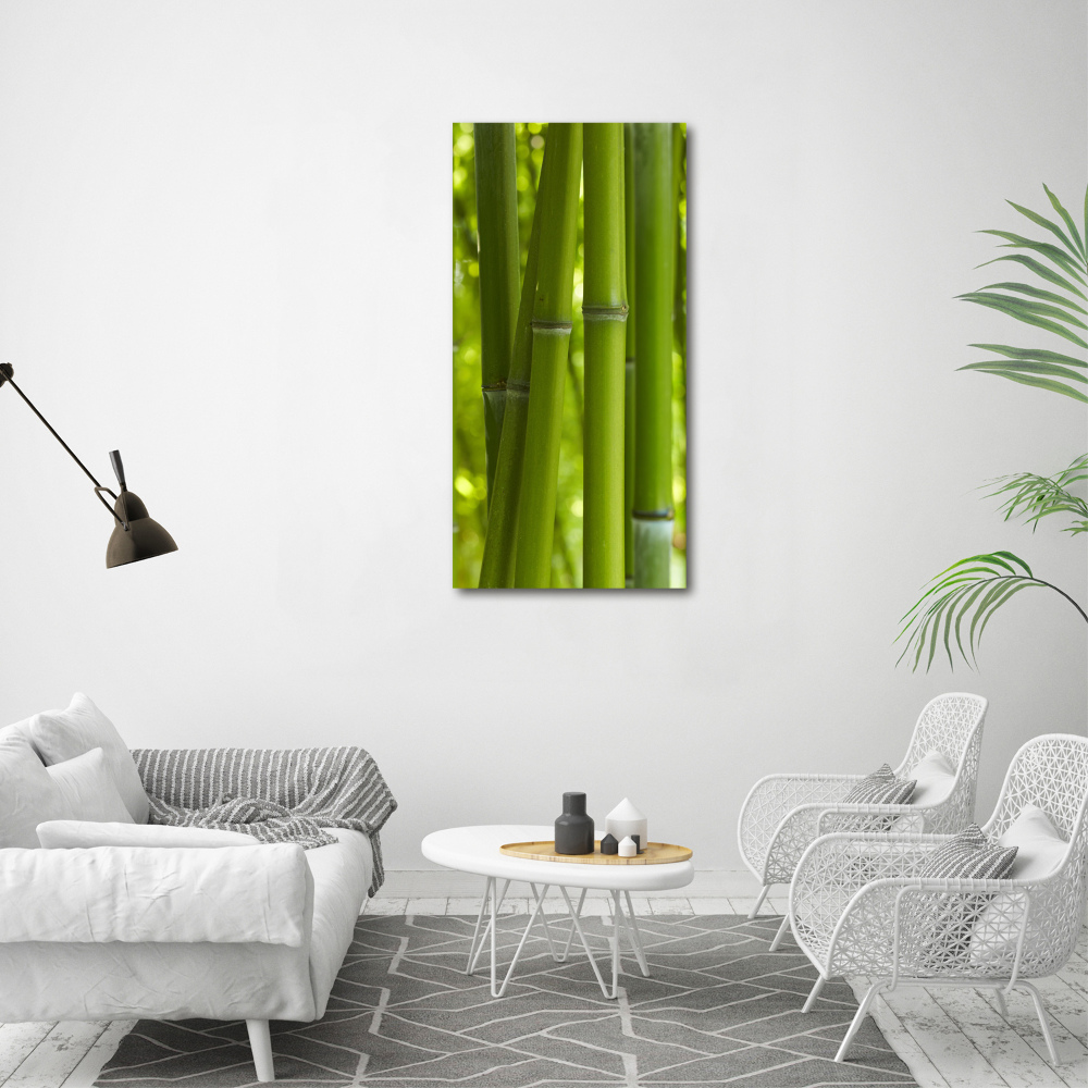 Print on acrylic Bamboo forest