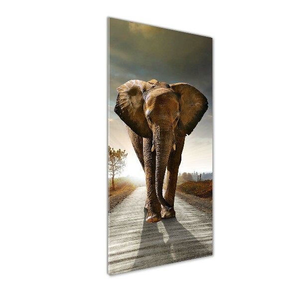 Wall art acrylic Walking the elephant