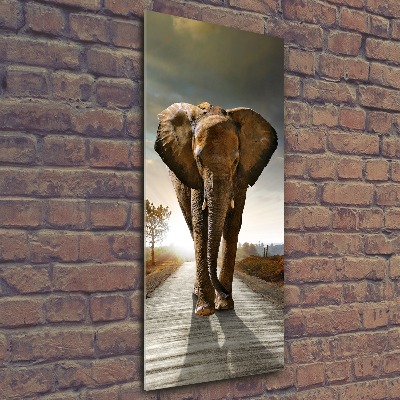 Wall art acrylic Walking the elephant