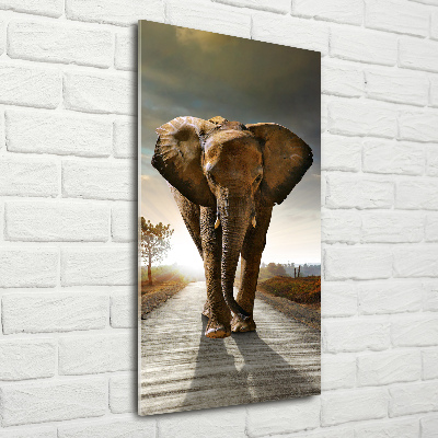 Wall art acrylic Walking the elephant