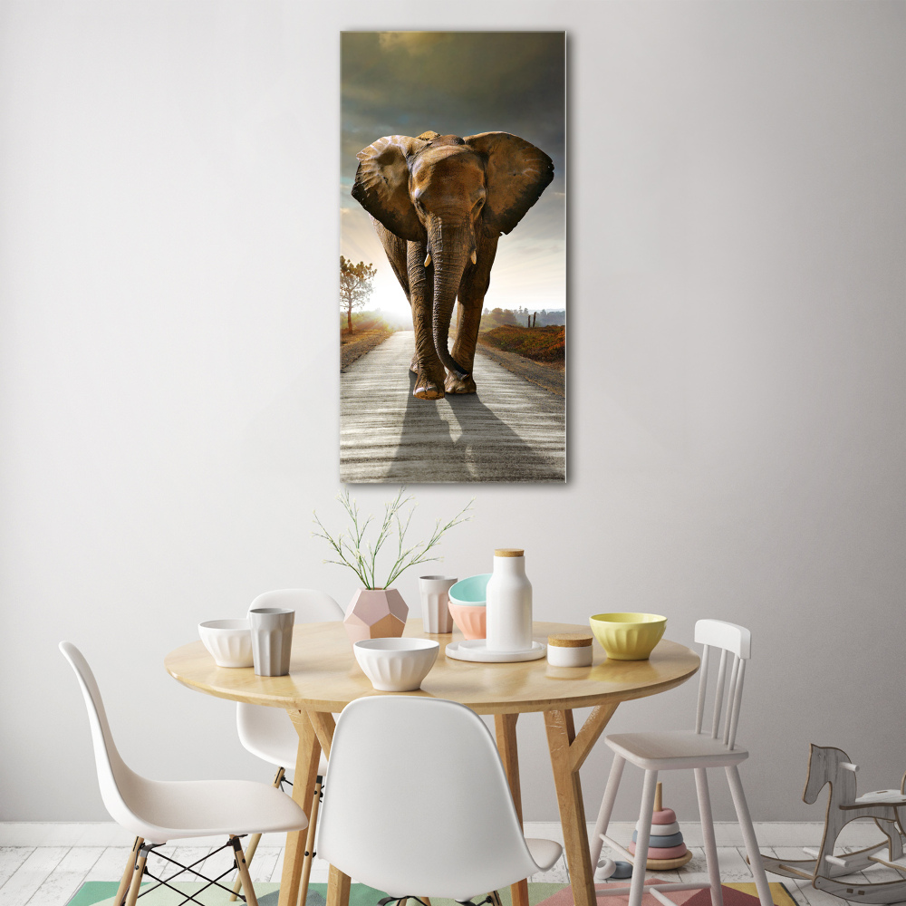 Wall art acrylic Walking the elephant