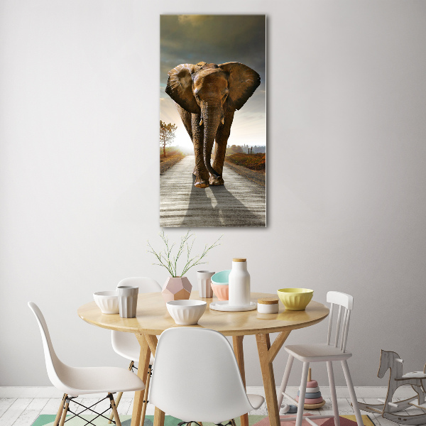 Wall art acrylic Walking the elephant