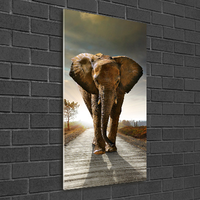 Wall art acrylic Walking the elephant