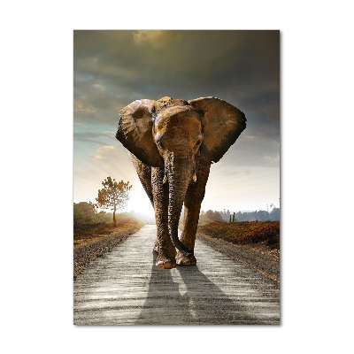 Wall art acrylic Walking the elephant