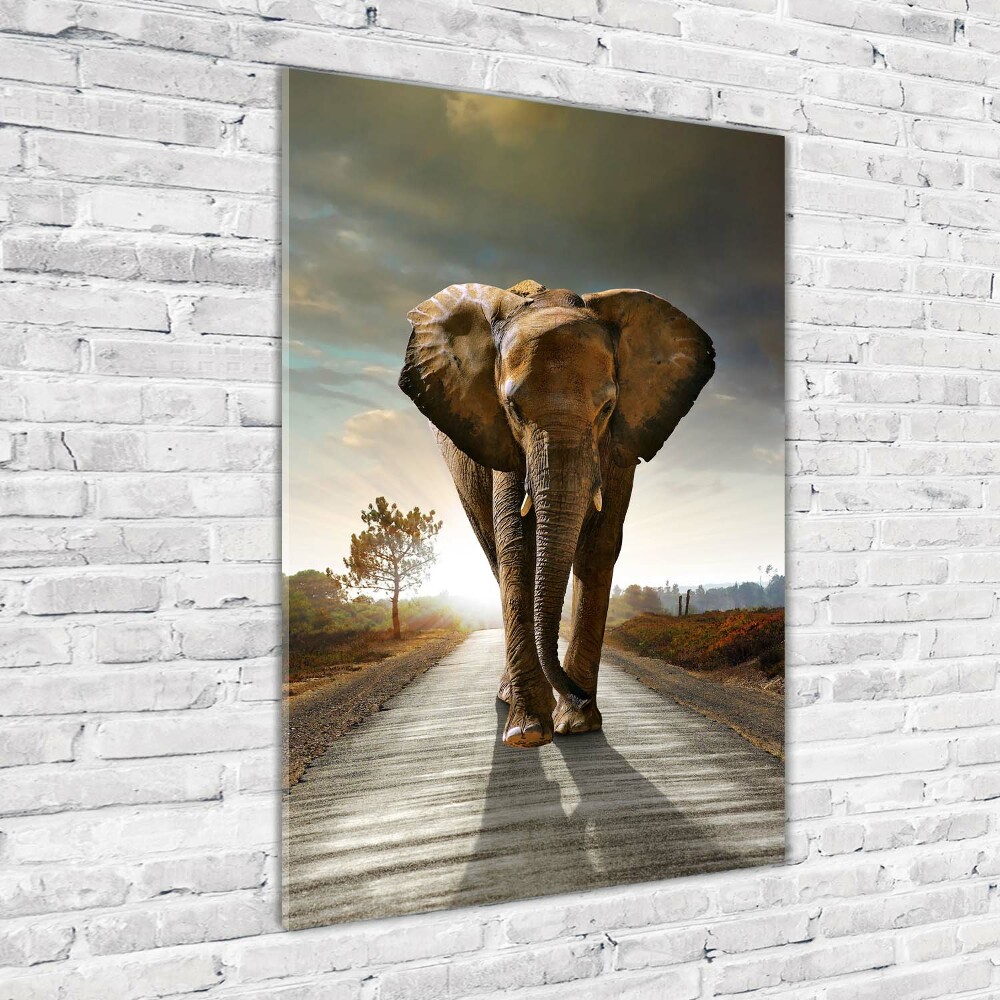 Wall art acrylic Walking the elephant