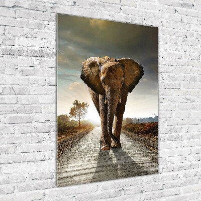 Wall art acrylic Walking the elephant