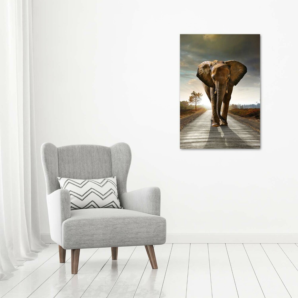 Wall art acrylic Walking the elephant