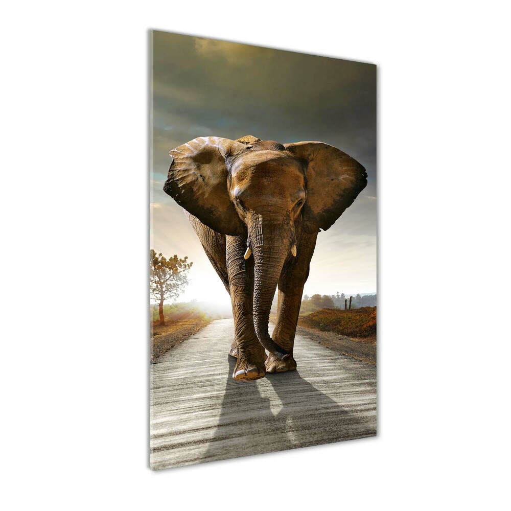 Wall art acrylic Walking the elephant