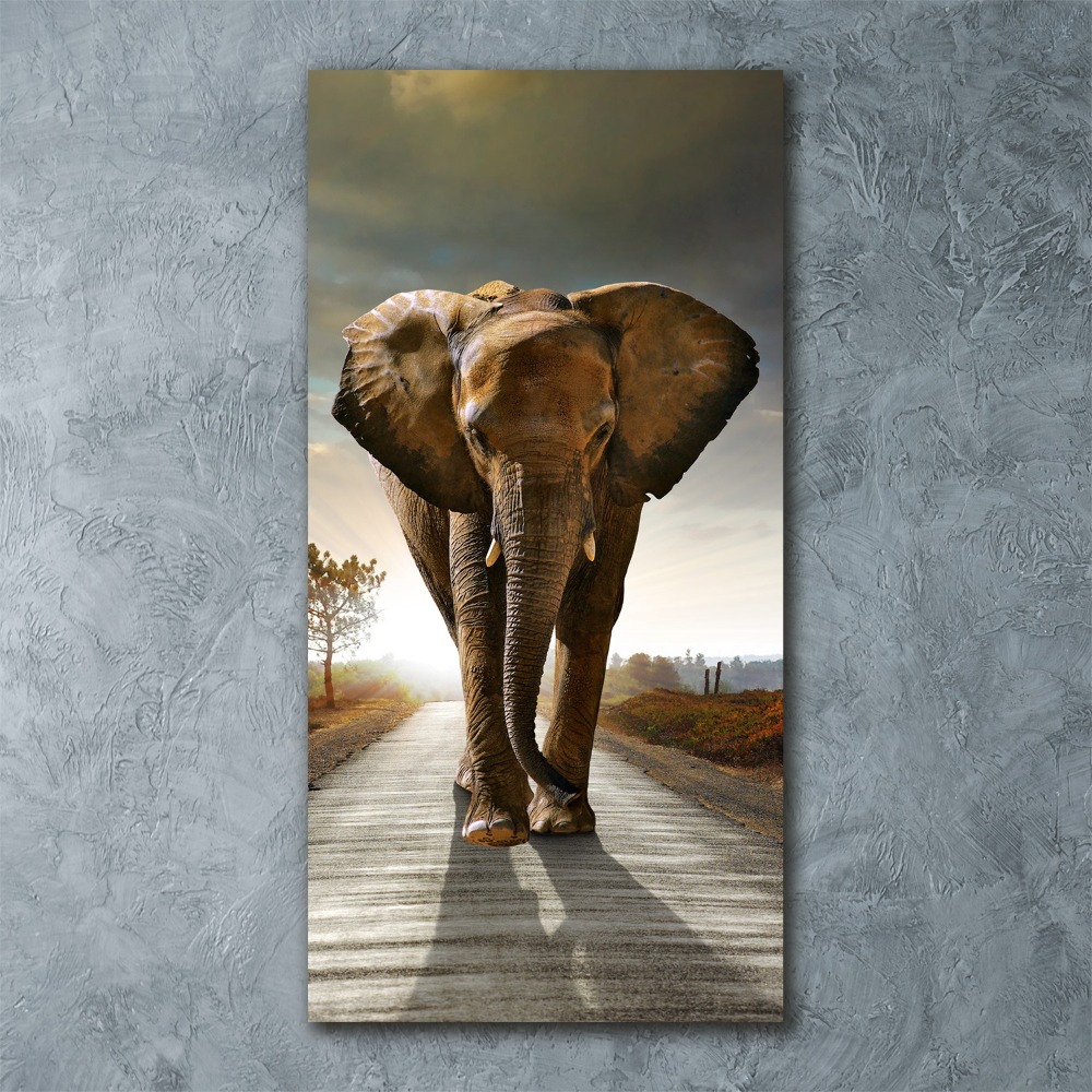 Wall art acrylic Walking the elephant