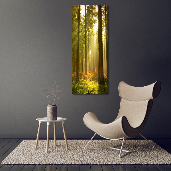 Print on acrylic Beautiful forest