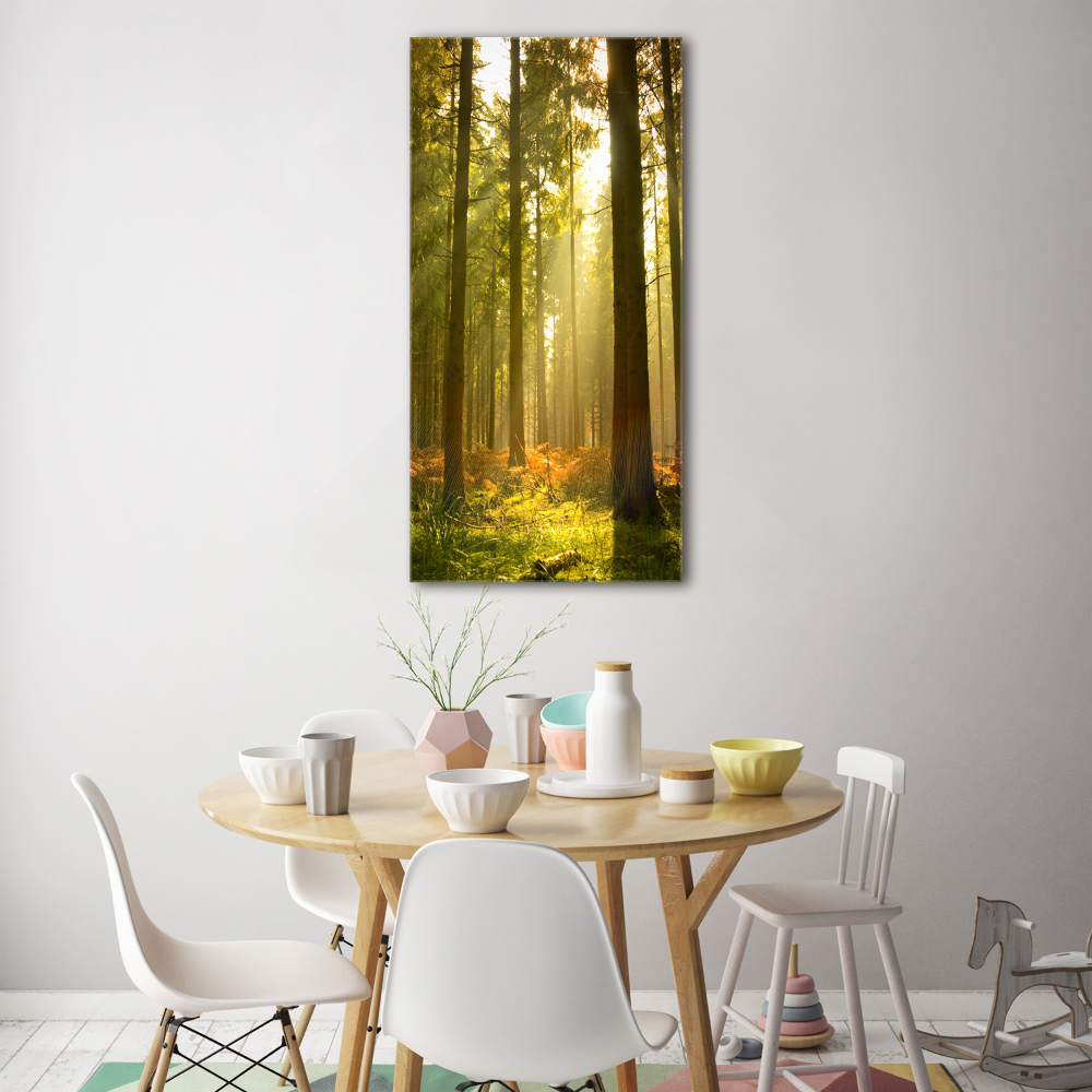 Print on acrylic Beautiful forest