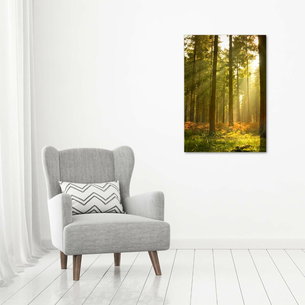 Print on acrylic Beautiful forest