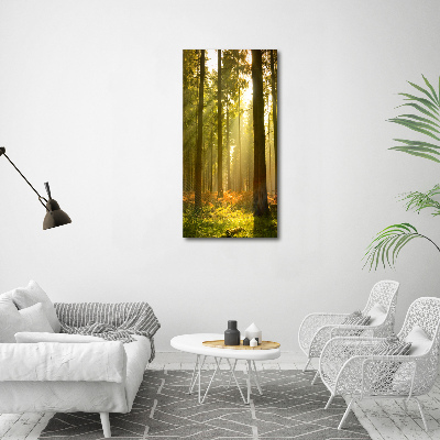 Print on acrylic Beautiful forest