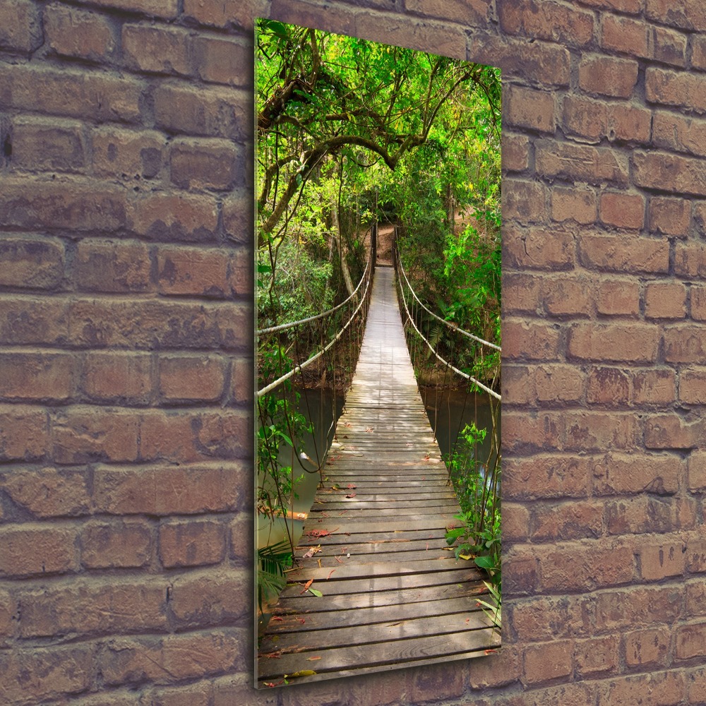 Print on acrylic Hanging bridge