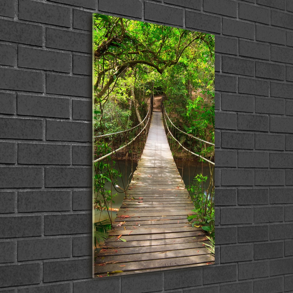 Print on acrylic Hanging bridge