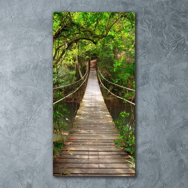 Print on acrylic Hanging bridge