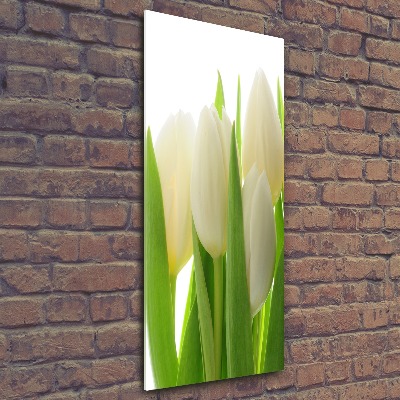 Acrylic wall art White tulips