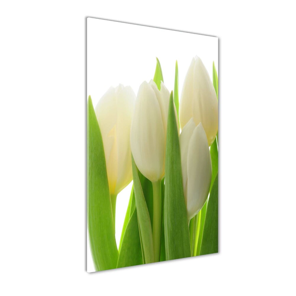 Acrylic wall art White tulips