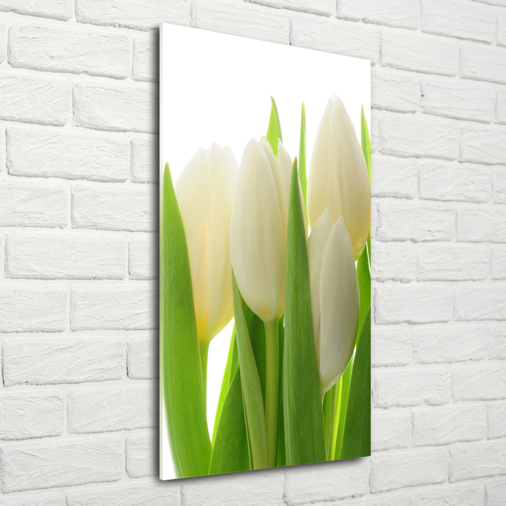 Acrylic wall art White tulips