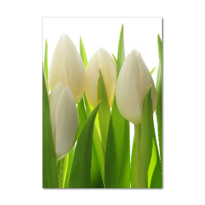 Acrylic wall art White tulips