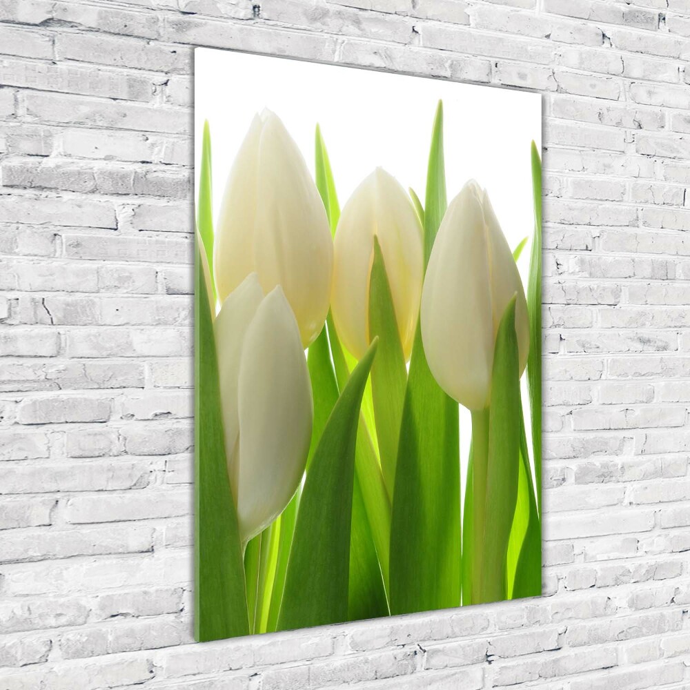 Acrylic wall art White tulips