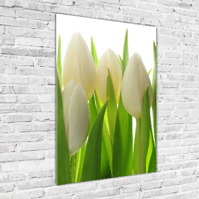 Acrylic wall art White tulips