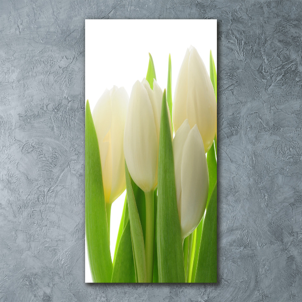 Acrylic wall art White tulips