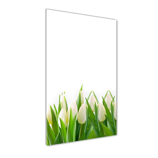 White tulips