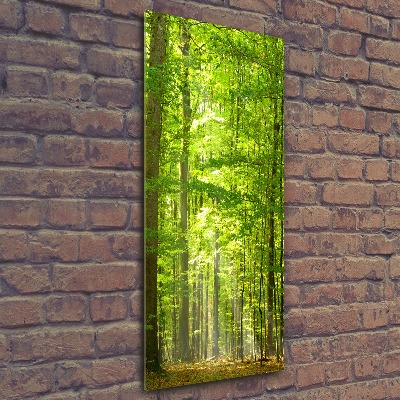 Acrylic wall art Beech forest