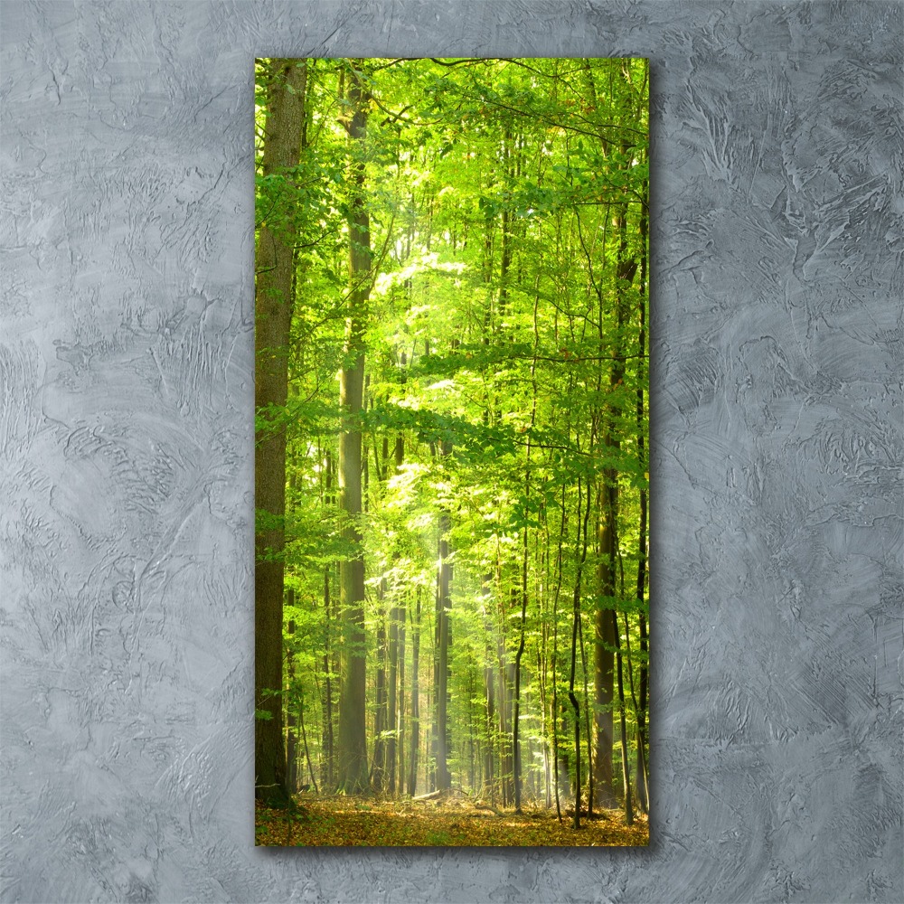 Acrylic wall art Beech forest