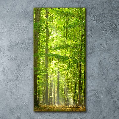 Acrylic wall art Beech forest