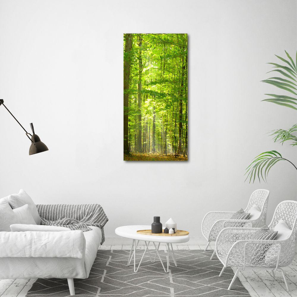 Acrylic wall art Beech forest