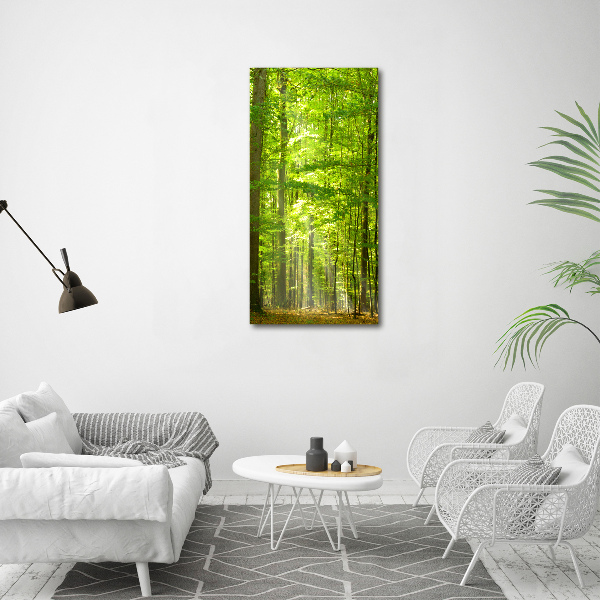 Acrylic wall art Beech forest