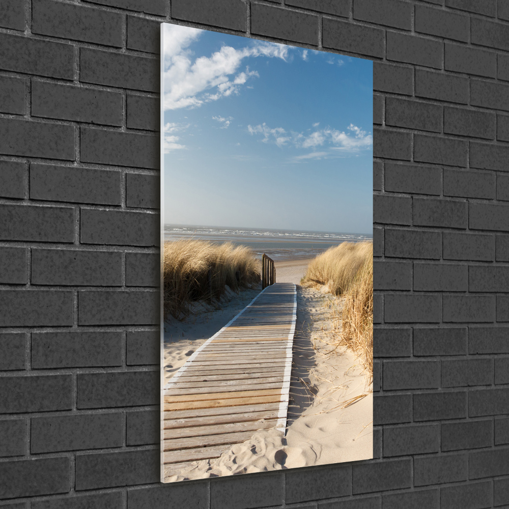 Acrylic print Path to the beach