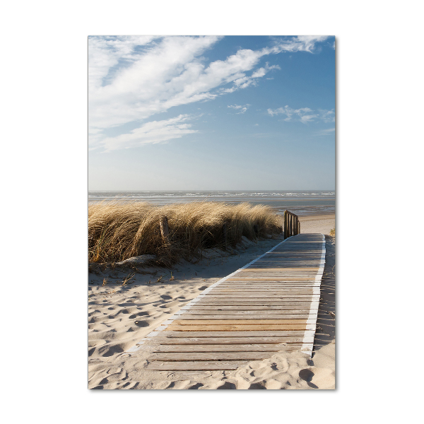 Acrylic print Path to the beach