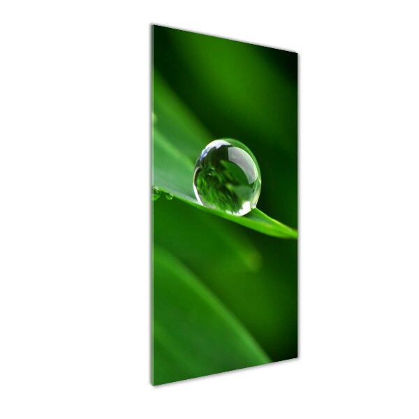 Acrylic wall art Blade of grass