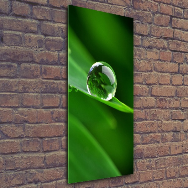 Acrylic wall art Blade of grass