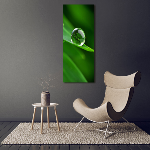 Acrylic wall art Blade of grass